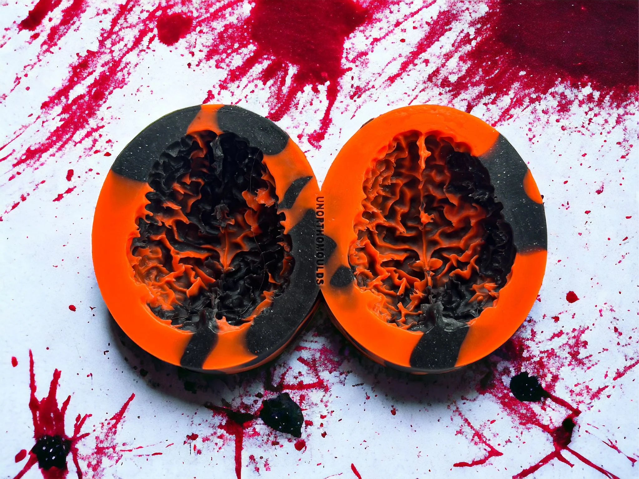 3D Brain Duo