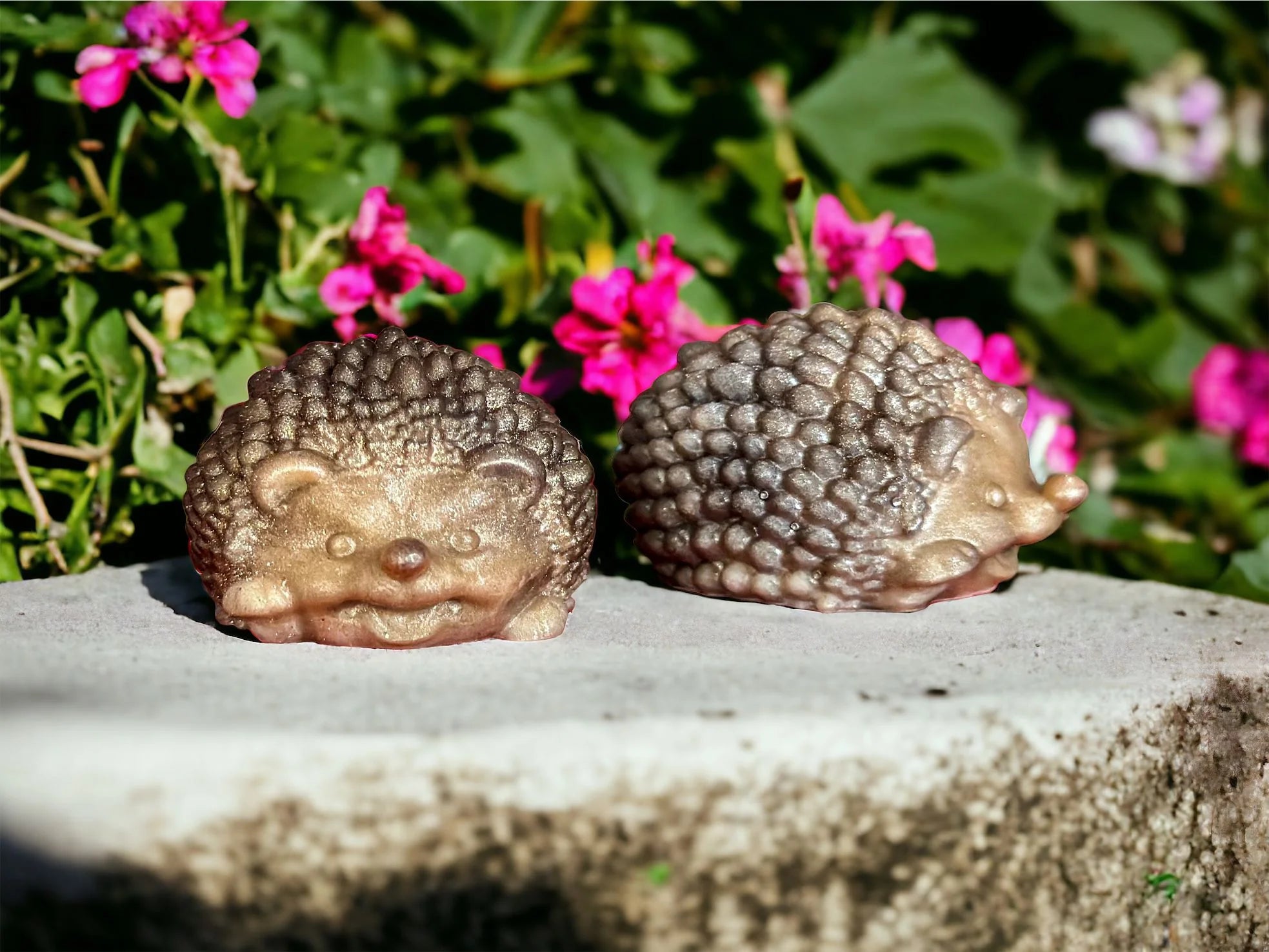 3D Hedgehog Duo