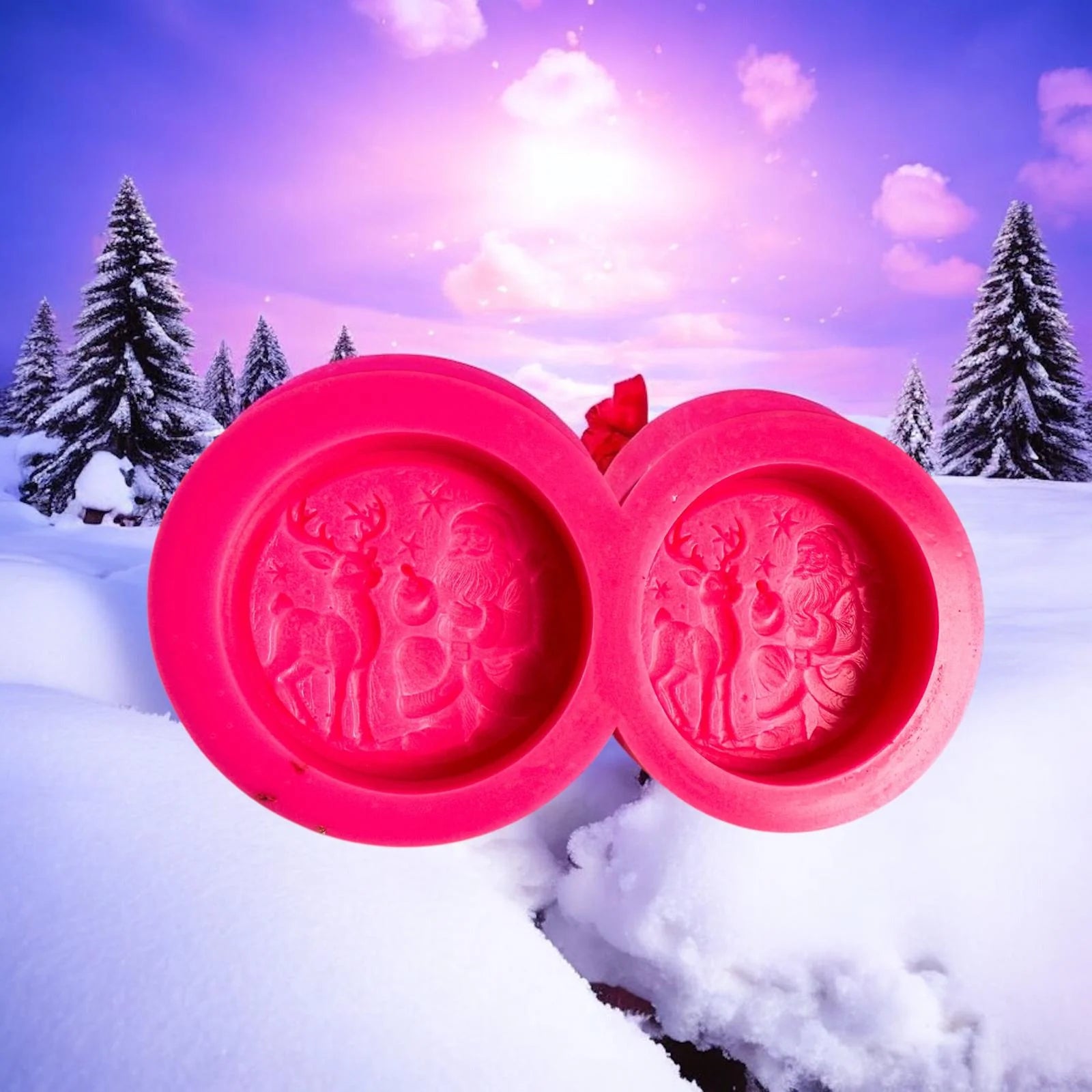 3D Santa & Reindeer Duo
