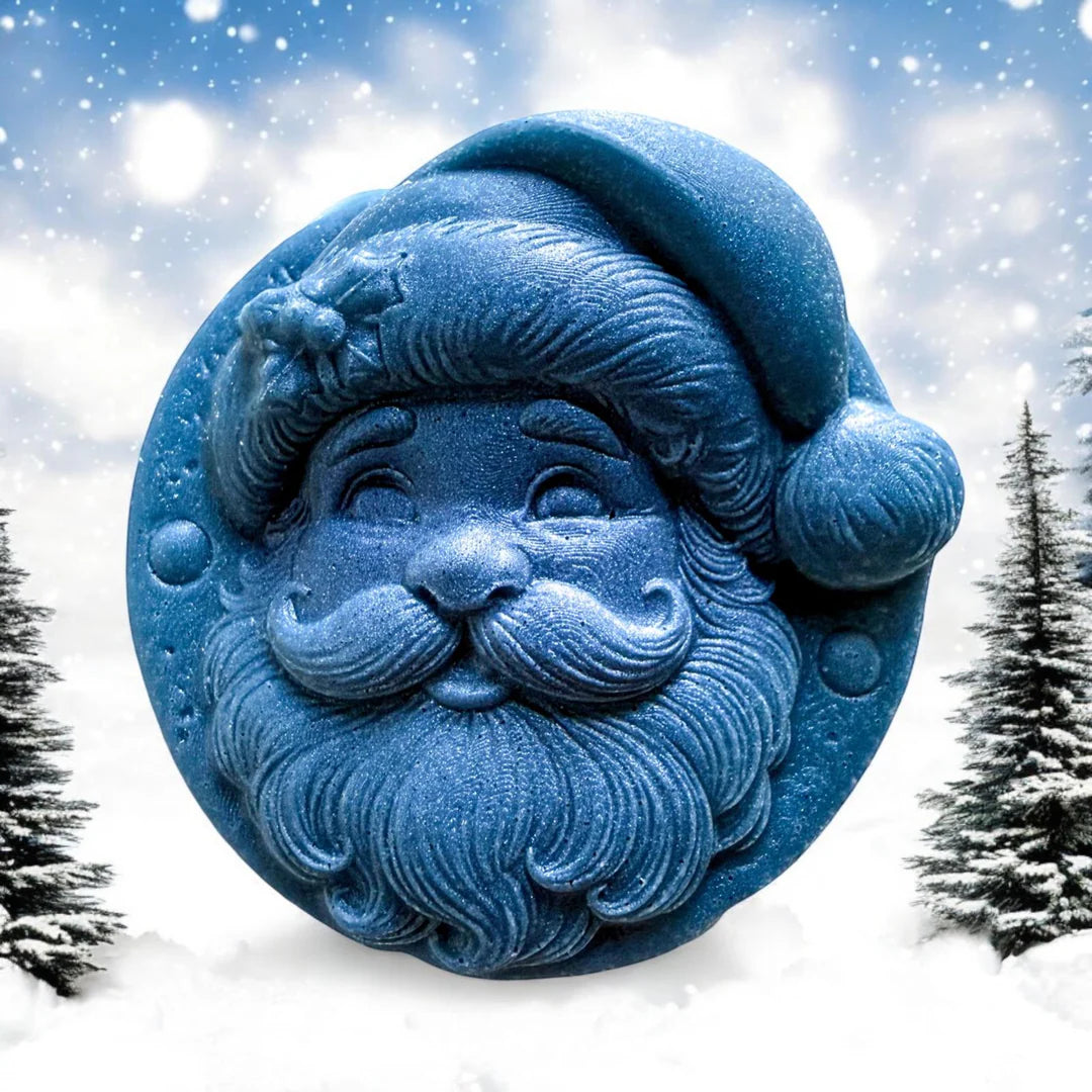 3D Santa On A Cookie Duo