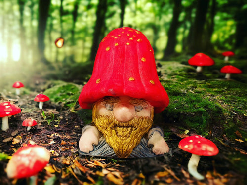 3D Mushroom Man Duo