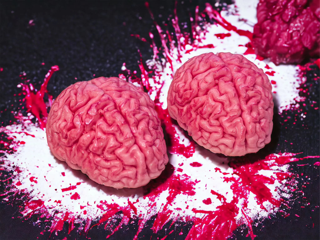 3D Brain Duo