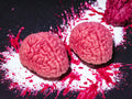 3D Brain Duo