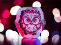 Owl Mini
