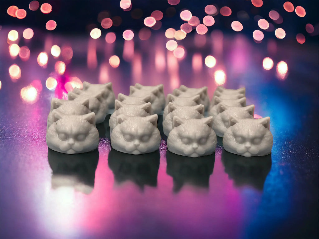 3D Cat Head 'CHUNKIES'