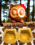 3D Sleeping Owl Duo