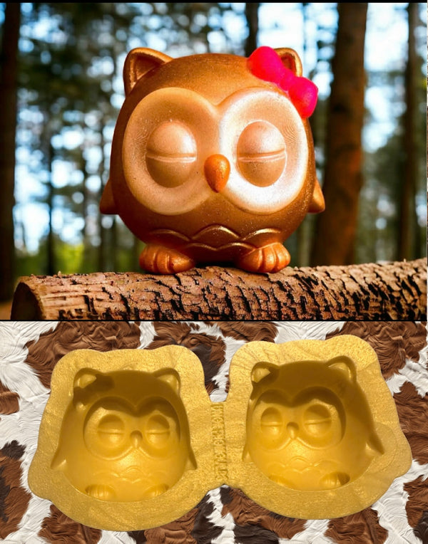 3D Sleeping Owl Duo