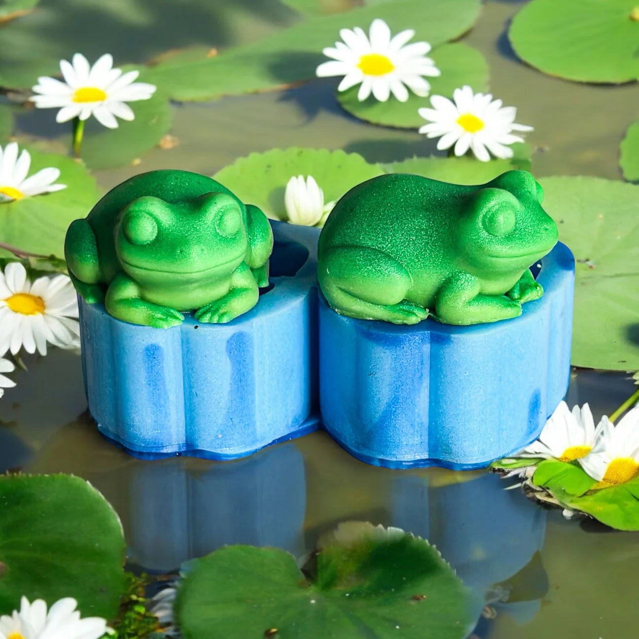 3D Frog Duo