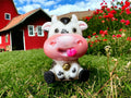 3D Cow Duo