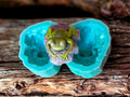 3D Frog On A Rock Duo