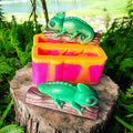 3D Chameleon Duo
