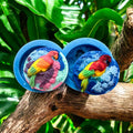 3D Parrot Duo