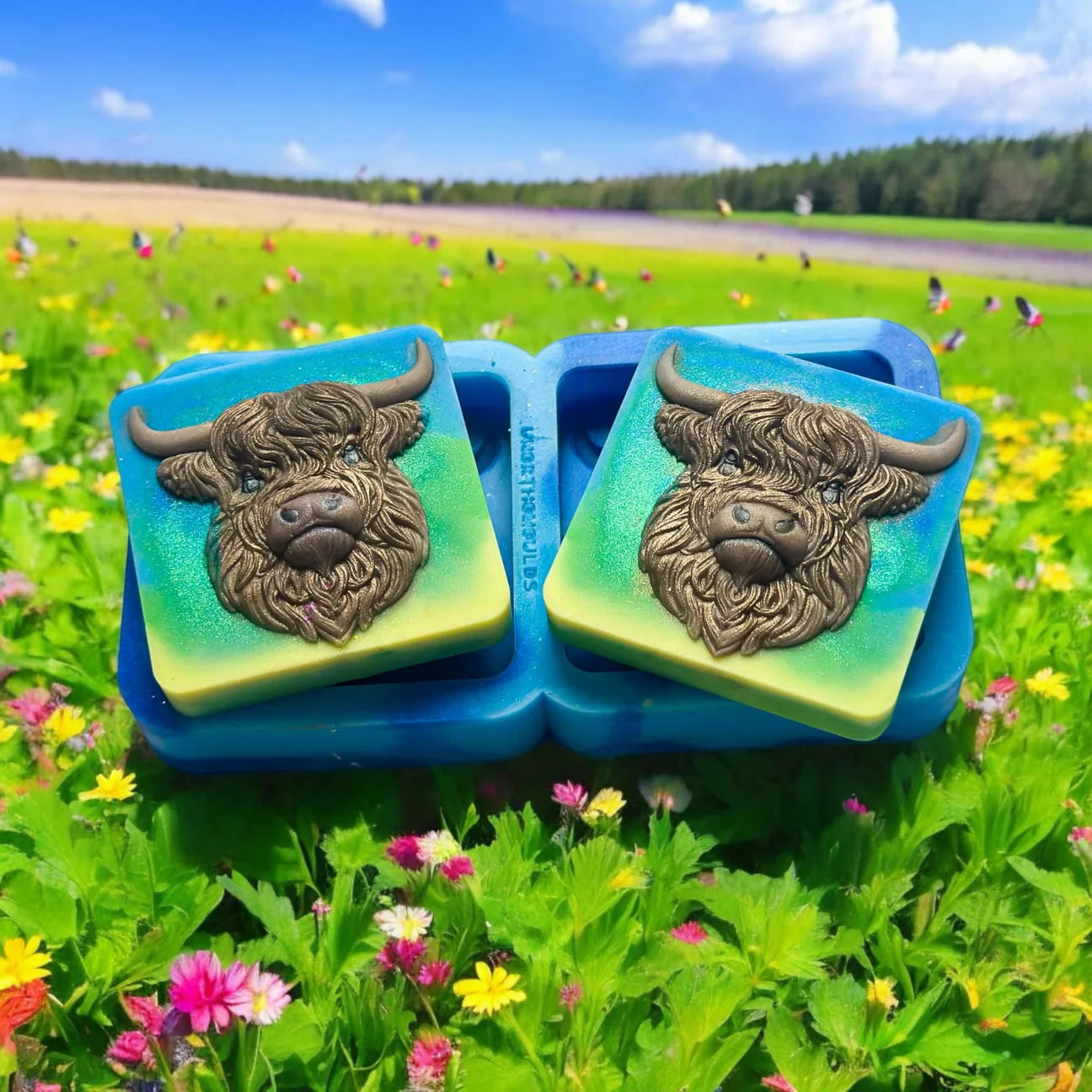 3D Highland Cow Duo