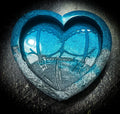 Heart Bum