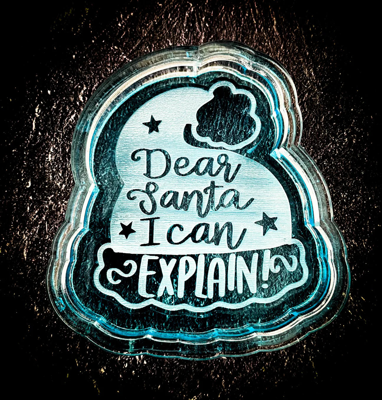 Dear Santa I Can Explain
