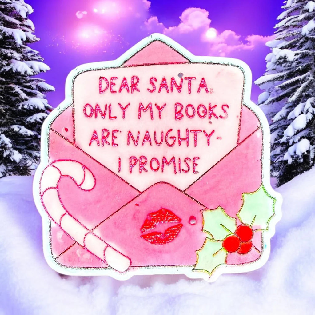 Dear Santa, Only My Books Are Naughty Duo