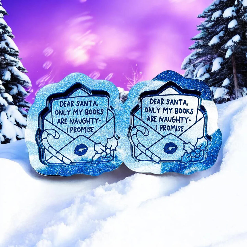 Dear Santa, Only My Books Are Naughty Duo