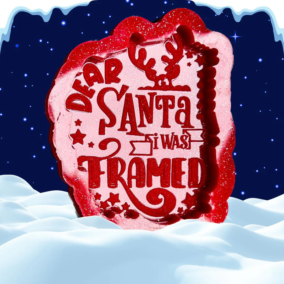 Dear Santa I Was Framed
