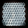 Buddha Head Scoopie (81 Cells)