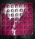 Camper van Mini Scoopie (49 Cells)
