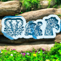 Elephant, Tortoise & Giraffe Trio