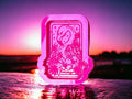 Flamingo Tarot Card