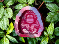 Monkey Mini