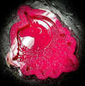 Unicorn Flower Moon