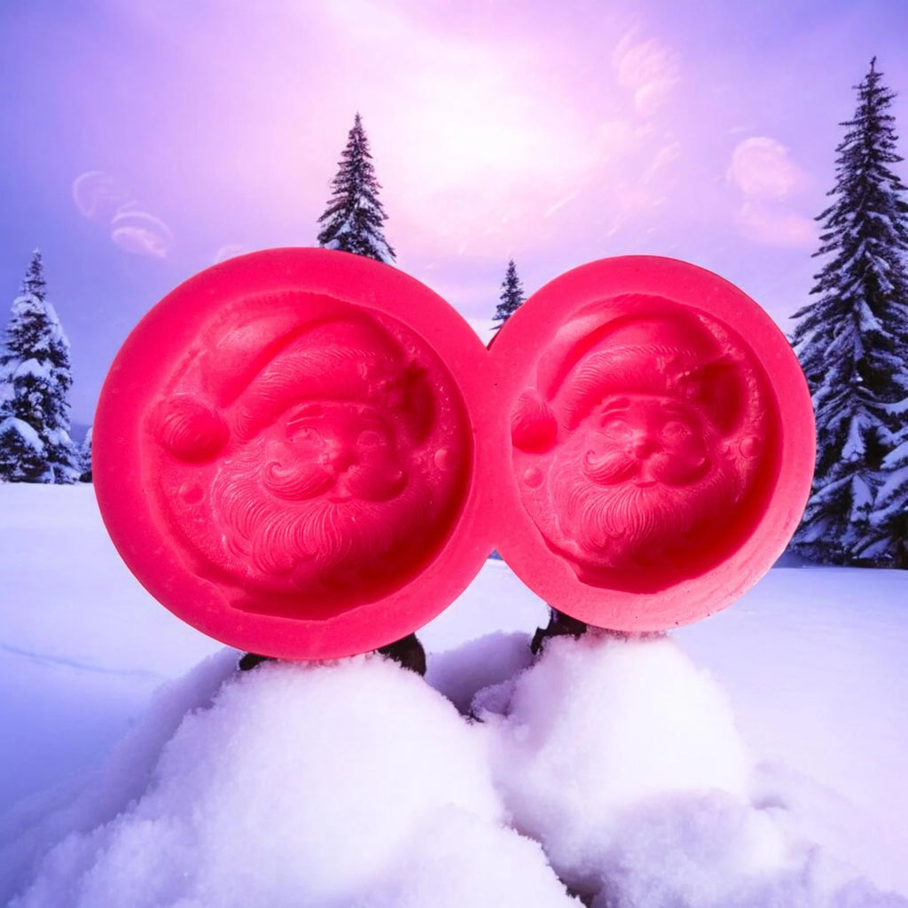 3D Santa On A Cookie Duo